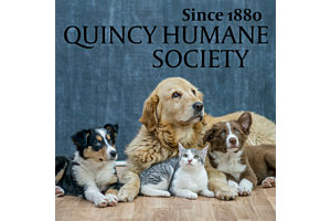 Find Your Perfect Pet: Adoption with Quincy Humane Society