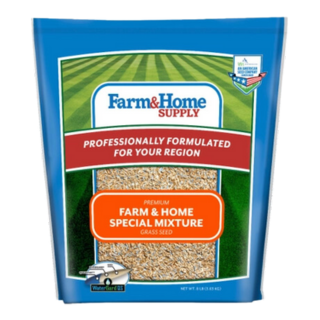 Grass Seed