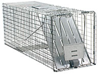 Animal Traps