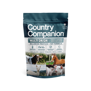 Country Companion Multi-Species 24/24 Milk Replacer - 6 lbs.
