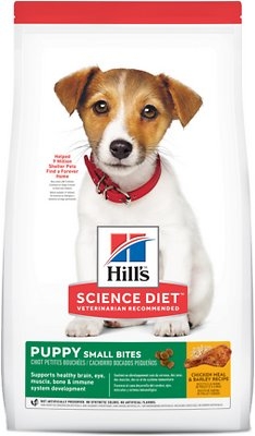 Hill's science diet healthy development online