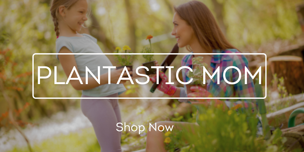 Plantastic Mom