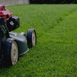 Lawn Mowers