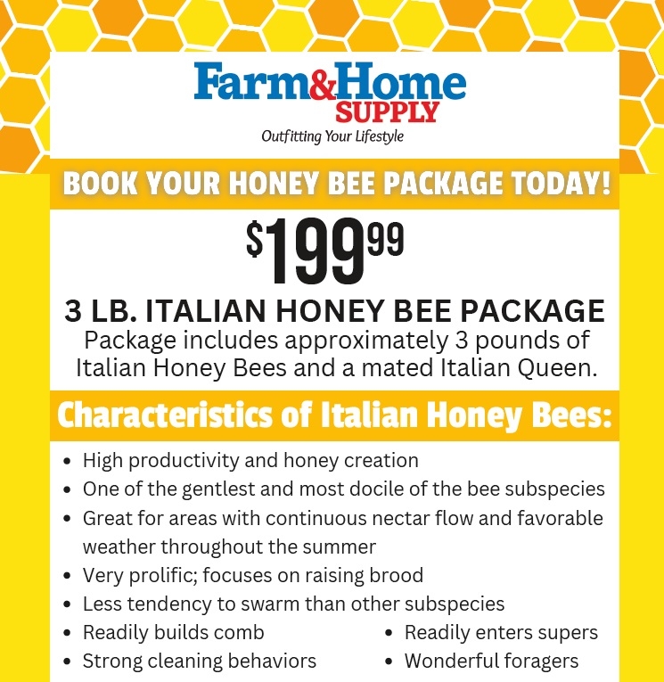Have you Heard the Buzz?
