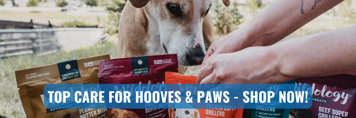 Pets & Livestock ads