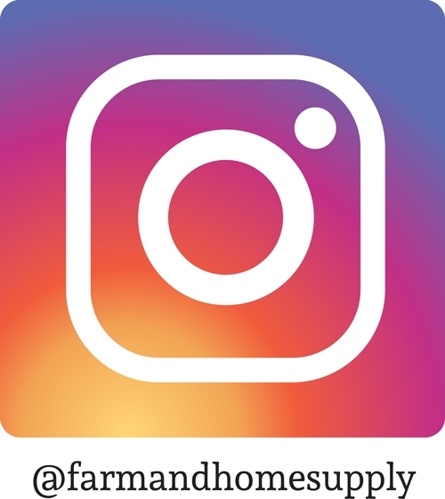 Follow us on Instagram